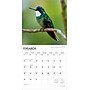 2026 BrownTrout Hummingbirds 12" x 12"  Monthly, Paper Cover, Hummingbirds (9798330703807)~#|#~E8D0E59A-DDF1-4034-82BB0E7EFBA1D866_sc7