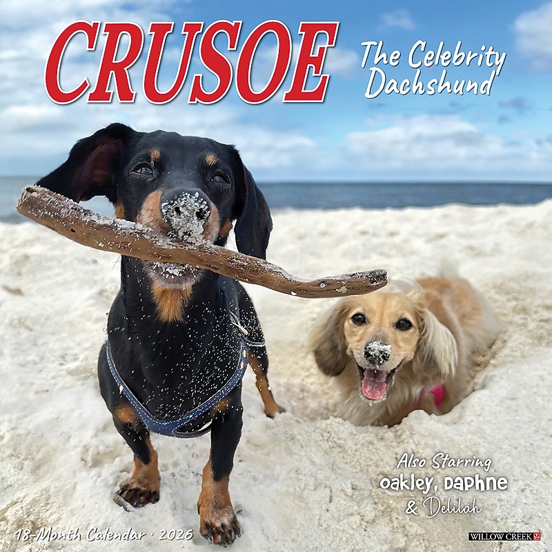 2026 Willow Creek Crusoe the Celebrity Dachshund 12" x 12" Monthly Wall Calendar (50910) image 1