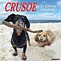 2026 Willow Creek Crusoe the Celebrity Dachshund 12" x 12" Monthly Wall Calendar (50910)~#|#~E8D23987-59DB-407A-A0EF38509A6A9AD8_sc7
