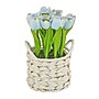 National Tree Company 10" Blue Tulip Bouquet in Metal Pot (MT81-10926GBL-1)~#|#~E8D4442F-7A02-42D6-9E663C7F84F16767_sc7