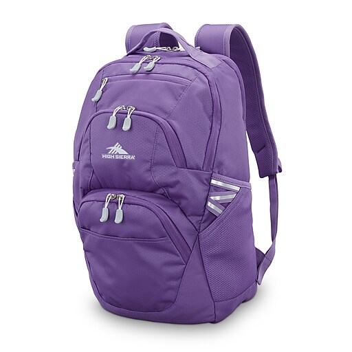 amt tech gear 21 l laptop backpack purple Pickleball Time – Ame & Lulu With a dedicated Laptop Hammock for added drop protection Pace P1029 Student Backpack, Purple