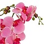 National Tree Company 21" Pink Orchid Flower in Wood Box (MT81-PH0354PPK)~#|#~E9344F60-3455-44F5-AB67CA556B05F2DB_sc7