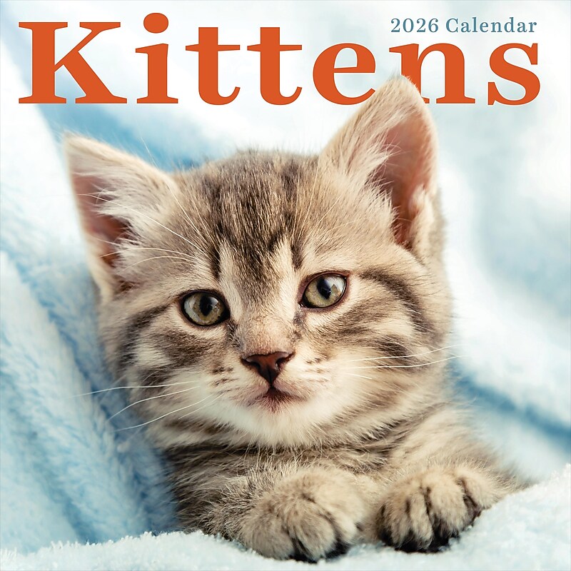2026 TF Publishing Kittens 12" x 12" Monthly Wall Calendar, Multi (26-1013) image 1