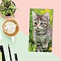 2026-2027 Willow Creek Cat-astrophe 3.5" x  Monthly Planner, Paperboard Cover (56509)~#|#~E94B3994-EFEA-48BF-B202509E8D5C832A_sc7