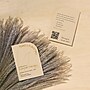Avery Rectangle Single Rounded Corner Integrated Cards, Matte Kraft Brown, 200/Pack (19479398964)~#|#~E9539516-1F25-455F-963B4E496A64331C_sc7