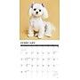 2027 Willow Creek Maltese 12" x 12" Monthly Wall Calendar, Assorted Colors (61152)~#|#~E9649565-E3B3-474C-ABF9D8D8B2FDC079_sc7
