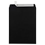 JAM Paper 10 x 13 Open End Catalog Envelopes, Black, 100/Pack (87733)~#|#~E974087F-C82C-440F-A2D0918891F52B69_sc7