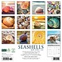 2026 Willow Creek Seashells 12" x 12" Monthly Wall Calendar (52709)~#|#~E99F3D69-1CDB-469D-A4FDDC2054C48E95_sc7