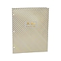 Pukka Pad Haze 3-Hole Punched 2-Pocket Cardstock Portfolio Folders, Assorted Colors, 6/Pack (9980(AST)-HZE)~#|#~E9ACAE53-511E-42E3-95E2C4ABB9A8B582_sc7