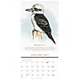 2027 Willow Creek The Art of Birds 12" x 12" Monthly Wall Calendar, Assorted Colors (62579)~#|#~E9B07D76-41E4-4AB5-969FA6574F4F53D7_sc7