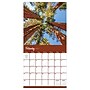 2027 TF Publishing Trees 10" x 12" Monthly Wall Calendar, Multicolored (27-1029)~#|#~E9BAAC9F-D0A6-4B4B-885D99B4680621C4_sc7