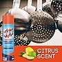 Break-Up Professional Oven & Grill Cleaner, 19 oz. (CBD991206)~#|#~E9CD044E-0113-45EE-974F772D2E20156C_sc7