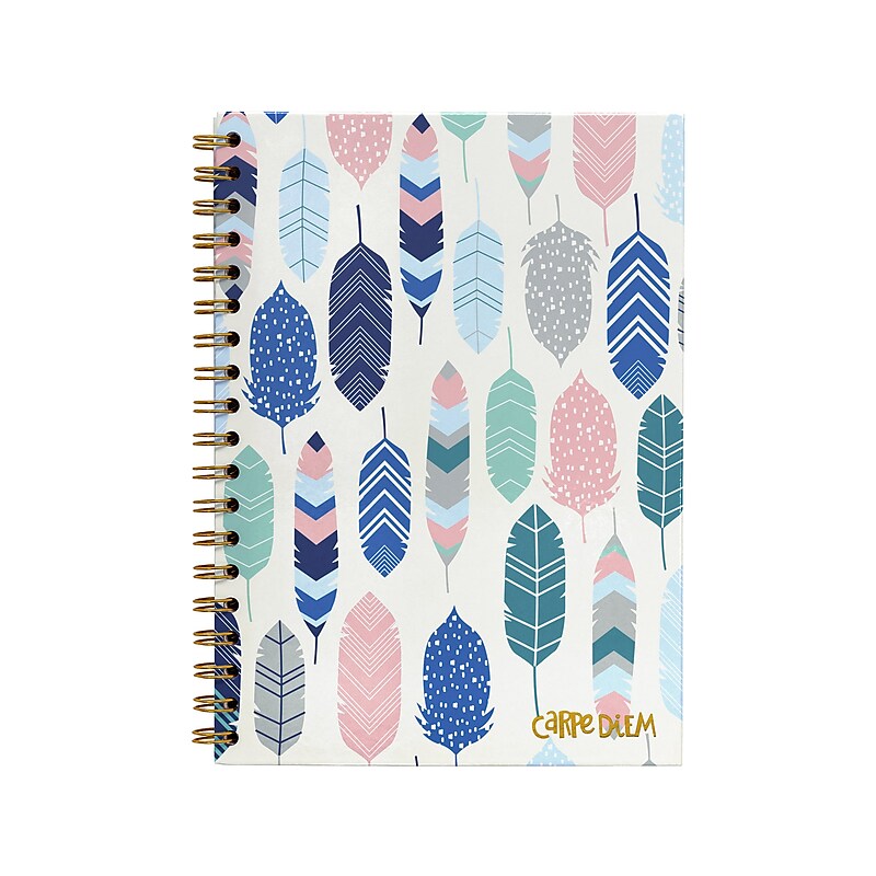 Carpe Diem Feathers 1-Subject Notebook, 7.5" x 9.75", Wide-Ruled, 80 Sheets, Multicolor (9379-CD) image 1