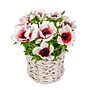National Tree Company 10" White Anemone Flower Bouquet in White Basket (MT81-01626GWH-1)~#|#~E9E83567-1FFA-4B0A-B65C68FFF48FDB90_sc7