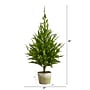 Nearly Natural Cedar Pine Natural Look Artificial Tree in Decorative Planter, 3.5' (T1512)~#|#~E9F94EB0-84C9-4DDE-AEC183F5F46E398B_sc7
