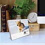 2027 Willow Creek Goldens 5.4" x 6.2" Day-to-Day Calendar (63491)~#|#~EA01C881-48E7-4956-8F6933CE19D02F95_sc7