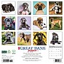 2026 Willow Creek Great Dane Puppies 12" x 12" Monthly Wall Calendar (55441)~#|#~EA0AF035-62C7-4810-960CEEE5606380BF_sc7