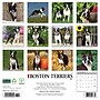 2026 Willow Creek Boston Terriers 12" x 12" Monthly Wall Calendar (55342)~#|#~EA17CB4B-38D9-47EC-AE0F3232E740DFDE_sc7