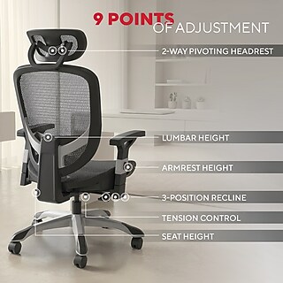 STAPLES Rutherford Ergonomic Manager & Executive Office Chair
