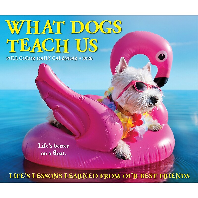 2026 Willow Creek What Dogs Teach Us 6.2" x 5.4" Day-to-Day Calendar (54512) image 1
