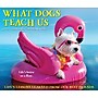 2026 Willow Creek What Dogs Teach Us 6.2" x 5.4" Day-to-Day Calendar (54512)~#|#~EA1B8CC9-DE67-4007-8C51A98514A303A1_sc7