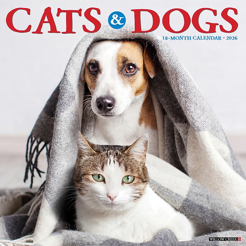 2026 Willow Creek Cats & Dogs 12" x 12" Monthly Wall Calendar (50620X) image 1