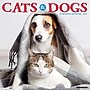 2026 Willow Creek Cats & Dogs 12" x 12" Monthly Wall Calendar (50620X)~#|#~EA39EE44-0EB0-4102-BAC996222910B27A_sc7