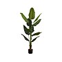 Monarch Specialties Inc. Strelitzia in a Pot (I 9545)~#|#~EA413C82-64D2-4E74-AF4BC5F96AB19A73_sc7