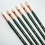 Silver Brush Natural Hog Bristle, Grand Prix Size 4 Variety Set, 6/Pack (SLVGP1065)~#|#~EA4BE4ED-B4FE-4A46-A1D23F9249C37CFA_sc7