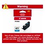 Canon 65 C Cyan Standard Yield Ink Cartridge (4216C002)~#|#~EA84FA6A-54BC-4879-AA764D0DD15980BC_sc7