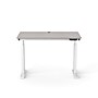 VersaDesk PowerLift 48"W Electric Rectangular Adjustable Standing Desk, Grey/White (PLSDR4830-WG-APP )~#|#~EA88484E-C106-4A8A-A0A4F95856AA17E2_sc7