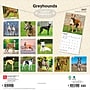 2027 BrownTrout Greyhounds 12" x 12" Monthly Wall Calendar (9798330712502)~#|#~EA8BC502-D594-43A3-B3435602C2DF7DCE_sc7