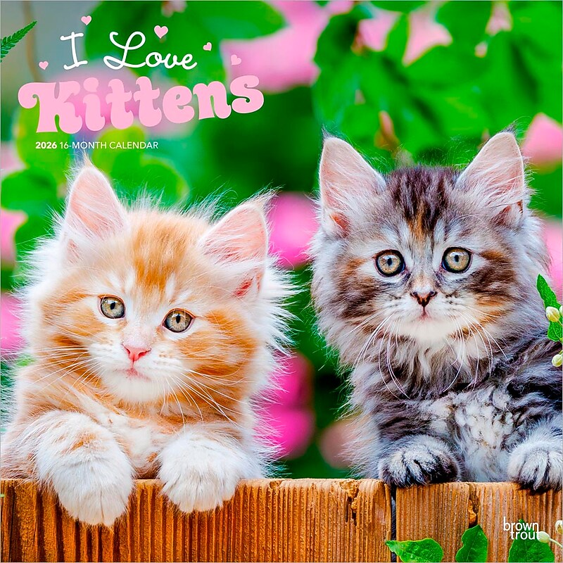 2026 BrownTrout I Love Kittens 12" x 12" Monthly Wall Calendar (9798330704149) image 1