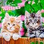 2026 BrownTrout I Love Kittens 12" x 12" Monthly Wall Calendar (9798330704149)~#|#~EA8D7967-159B-4E72-BCBC992079B44B47_sc7
