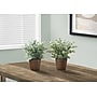 Monarch Specialties Inc. 13" Artificial Eucalyptus Grass Plant in Pot, 2/Set (I 9560)~#|#~EA9B2464-EFA2-42FD-83DB6090B4826F3A_sc7