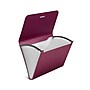 Staples Reinforced Plastic Accordion File, 13-Pocket, Letter Size, Purple (TR52015)~#|#~EAA2B2D5-24A8-48EA-9A3631C58FB5606C_sc7
