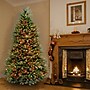 National Tree Company Dunhill Fir Artificial Christmas Trees (DUH-70RLO)~#|#~EAA4C7C1-117F-4B54-B62D267E59FF1A2A_sc7