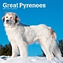 2027 BrownTrout Great Pyrenees 12" x 12" Monthly Wall Calendar (9798330712496)~#|#~EAA7C175-B1FC-4556-884683FD06CCD3F7_sc7