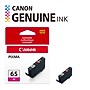 Canon 65 M Magenta Standard Yield Ink Cartridge (4217C002)~#|#~EAAB683B-4831-4162-A3D94314EF9DAA54_sc7