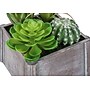 Monarch Specialties Inc. 8" Artificial Succulent Plant in Pot, 2/Set (I 9370)~#|#~EABB44FA-F467-4C90-B7FE6FCEA673D59E_sc7