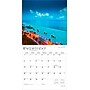 2026 BrownTrout Florida Coast 12" x 12" Monthly Wall Calendar (9798330703258)~#|#~EAD22292-1E9D-4960-AB79B6E29CAEC104_sc7