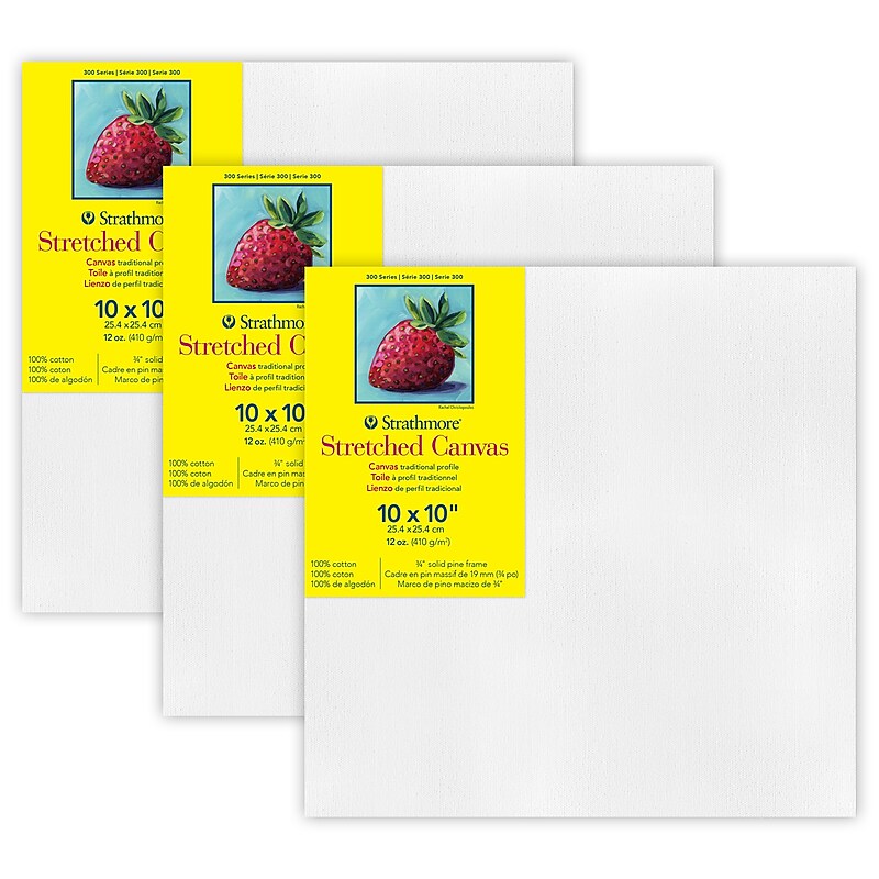 Strathmore 300 Series Primed White Stretched Canvas, 10" x 10", 3/Pack, 3/Bundle (STT31310-3) image 1