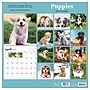 2027 TF Publishing Puppies 11" x 11" Monthly Wall Calendar, Multicolored (27-1025)~#|#~EAD9222F-FCBD-4C34-AC6C8838D752D860_sc7