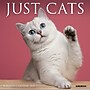 2027 Willow Creek Cats 7" x 7" Monthly Wall Calendar (64085)~#|#~EAE9DE31-8E0F-47D2-AFA20C7D87E627C3_sc7