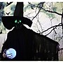 Haunted Hill Farm Life-Size Poseable Phantom Witch with Crystal Ball (HHWITCH-2FL)~#|#~EAEB5D03-33F1-4EEC-BCD578C9177D7E18_sc7
