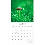 2027 BrownTrout Magic Mushrooms 12" x 12" Monthly Wall Calendar (9798330714025)~#|#~EAED4328-8E1E-4C15-B51A459E73CB0D3C_sc7