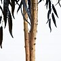 Nearly Natural Artificial Halloween Black Willow Tree, 4' (T5196)~#|#~EB157298-B4EA-44A9-9AC03B1F73DB50B5_sc7