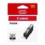 Canon 221 Black Standard Yield Ink Cartridge (2946B001)~#|#~EB346B06-0281-4140-A222BC866B4E604E_sc7