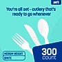 Perk™ Polystyrene Assorted Cutlery, Medium-Weight, White, 300/Pack (PK56406)~#|#~EB3A498A-AD4E-4A1F-9F252CECE046869B_sc7