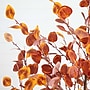 Nearly Natural 6' Pre-Lit Autumn Eucalyptus Artificial Fall Tree with 300 Warm White LED Lights (T4900)~#|#~EB3C2C42-5115-4FB8-9CC80E56731A65E4_sc7